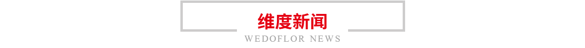 沃沃新闻
